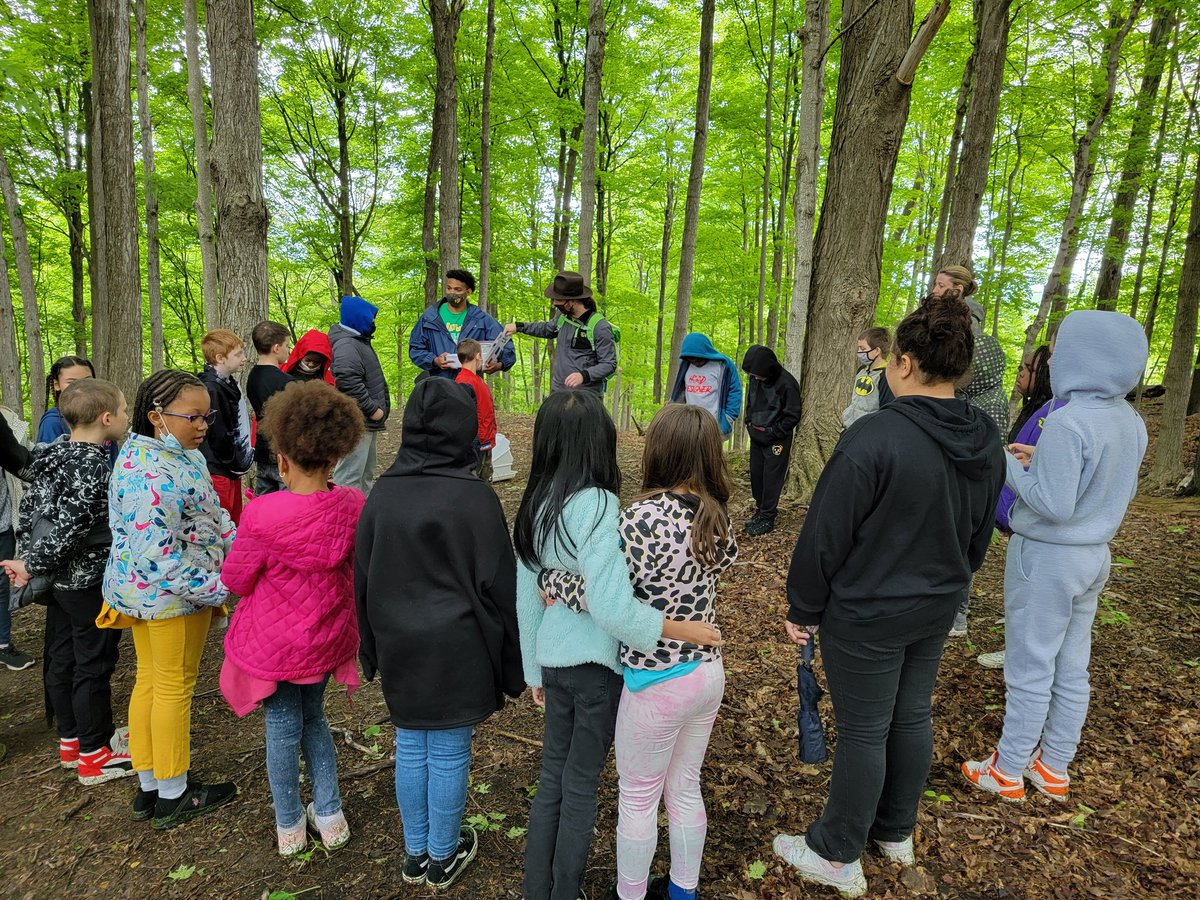 Elizabeth Schell tweet media