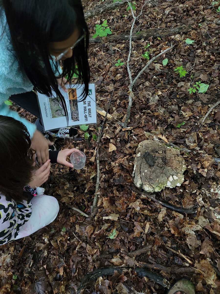 Elizabeth Schell tweet media