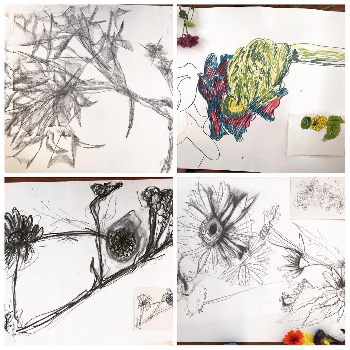 JoHatty's tweet photo. Experimental drawing @ArdsArts today. Lots of timed exercises e.g 10sec, 20sec, 1min line drawings, continuous line, non-dominant hand, 2 pens taped together, drawing with 2 hands…
Then got class to use the flowers to draw with and finished off with a bang! #flowerpounding 😋 https://t.co/GSe48S3qUi