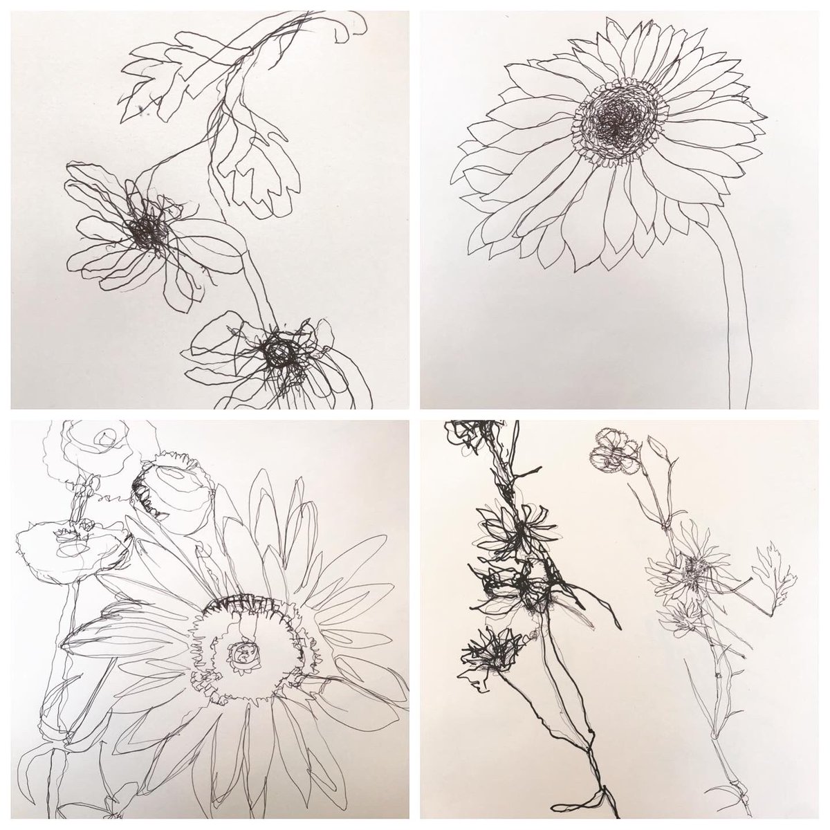 JoHatty's tweet photo. Experimental drawing @ArdsArts today. Lots of timed exercises e.g 10sec, 20sec, 1min line drawings, continuous line, non-dominant hand, 2 pens taped together, drawing with 2 hands…
Then got class to use the flowers to draw with and finished off with a bang! #flowerpounding 😋 https://t.co/GSe48S3qUi