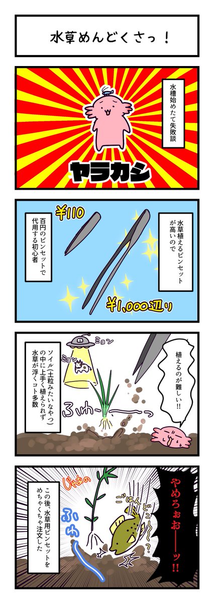 初心者には水草植えるのが難しすぎた
ブログ https://t.co/1BZhQU3tqB 