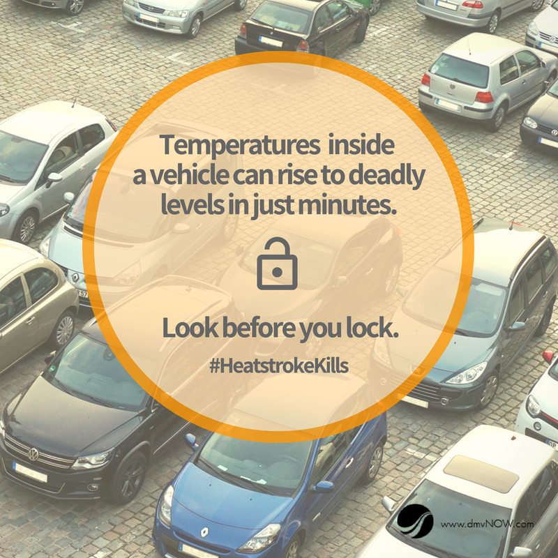 VirginiaDMV's tweet photo. Temperatures are rising outside, and this hot spell will be here through the weekend!
Never leave a child or a pet inside a hot car. The heat can reach deadly levels in minutes, so remember to #CheckForBaby and leave your four-legged friends at home. #LookBeforeYourLock https://t.co/xtCxSYgoUJ