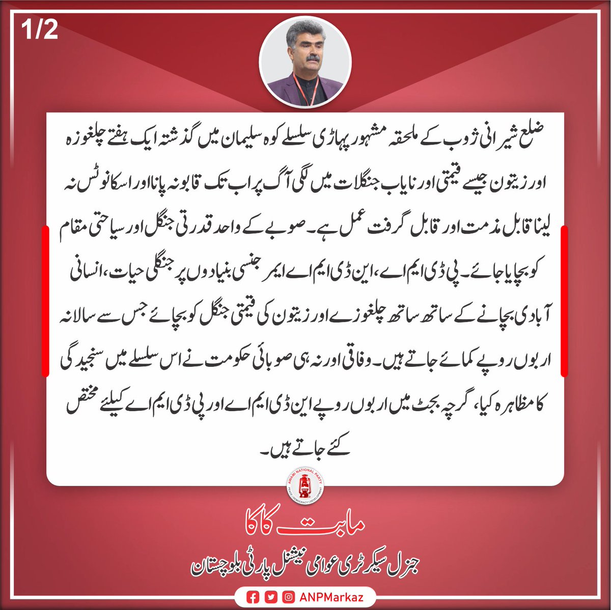 ANPOBalochistan's tweet photo. کوہ سلیمان میں گذشتہ ایک ہفتے سے چلغوزہ اور زیتون جیسے قیمتی اور نایاب جنگلات میں لگی آگ پر اب تک قابو نہ پانا اور اسکا نوٹس نہ لینا قابل مذمت ہے۔ وفاقی اور نہ ہی صوبائی حکومت نے اس سلسلے میں سنجیدگی کا مظاہرہ کیا ہے۔
مابت کاکا
جنرل سیکرٹری اے این پی بلوچستان https://t.co/uZO1DMJTEa