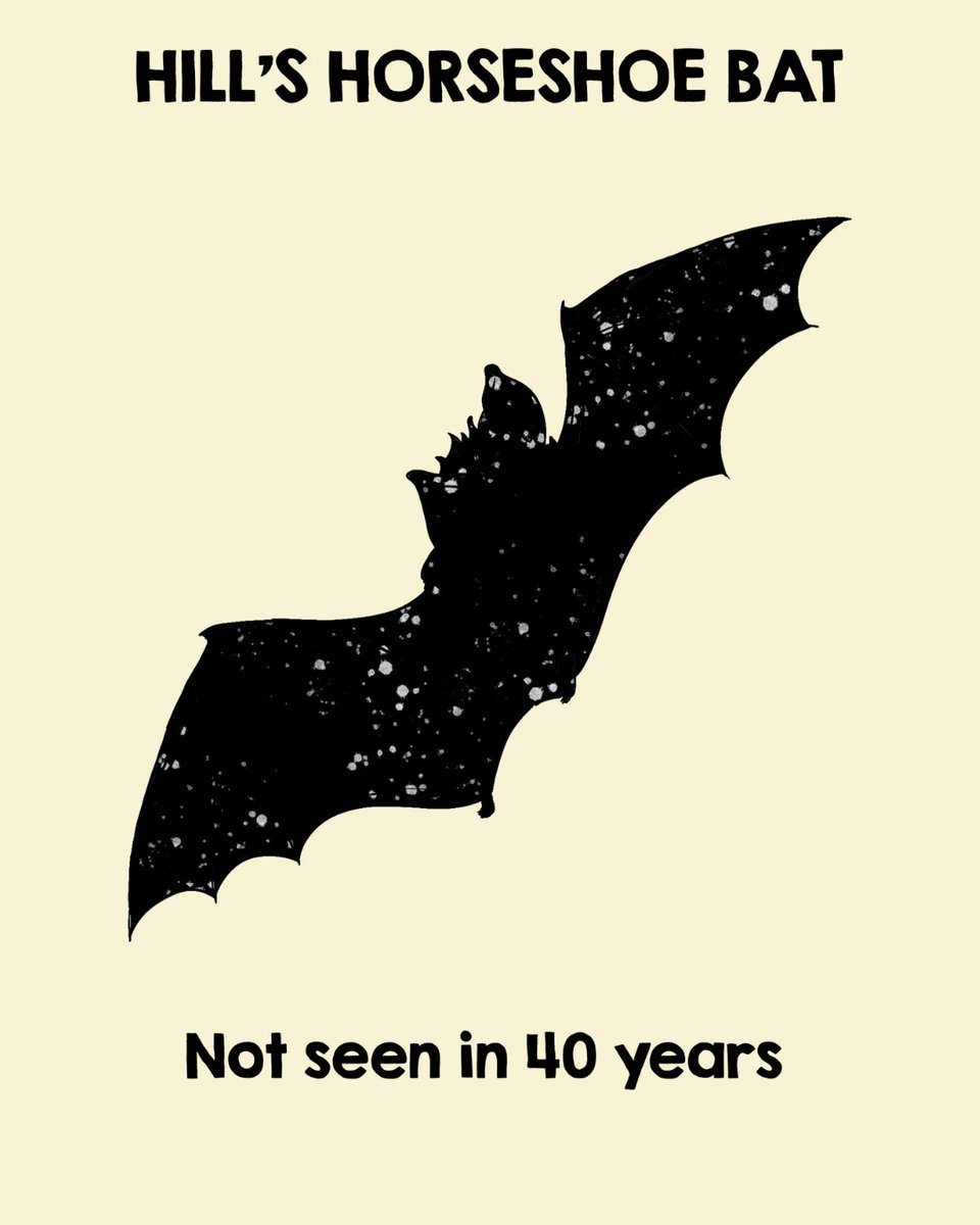 Bat Conservation International tweet media