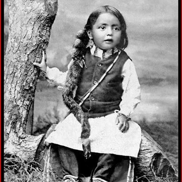 nativesspirit36's tweet photo. If u support Native Americans
Type YES
#native #NativeAmericans #nativekid @Native3rd https://t.co/Vw8hbnOVFH