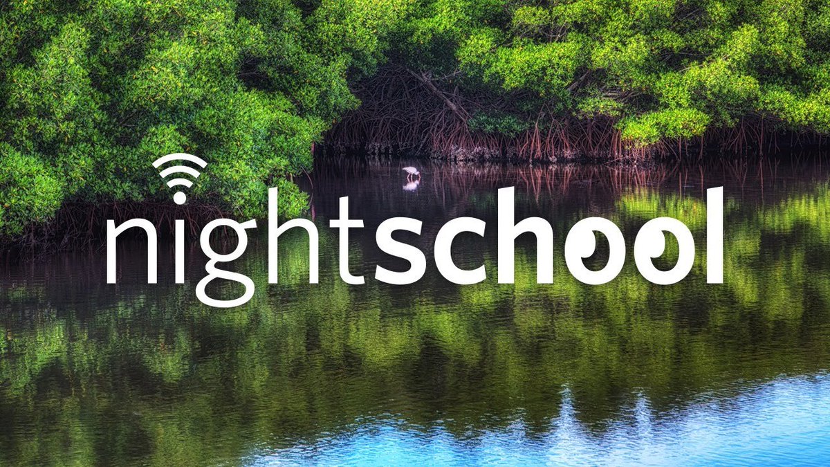 calacademy's tweet photo. Tonight on NightSchool: We're venturing into the beautiful, complex, and wonderful world of mangrove forests with @cindaseasworld, @MaydaNathan, &amp; @octavioaburto. Free; streaming live at 7pm PT: https://t.co/TD07XCNj3x https://t.co/VKx9chwEst