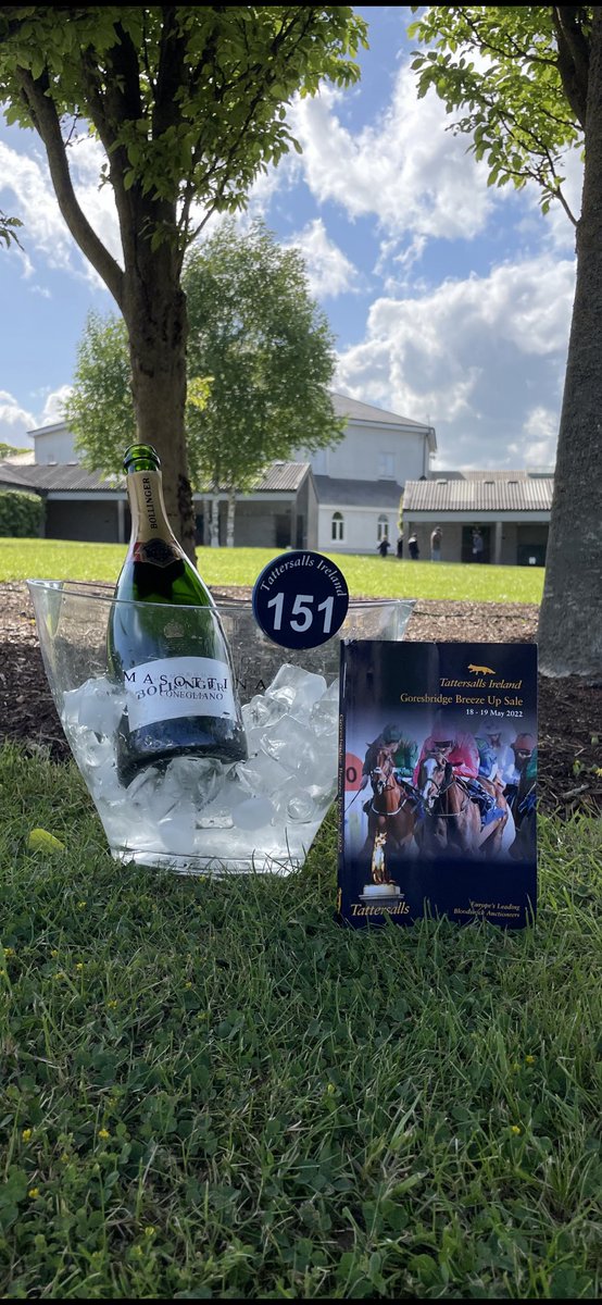 Toasting to the Queen 🥂 Many thanks to @tatts_ireland for helping Greenhills Farm <a href="/katiewalsh9/">Katie Walsh</a> celebrate consigning the €520,000 Saxon Warrior filly- the highest priced horse to grace the Tattersalls Ireland sales ring. Best of luck to her new connections.