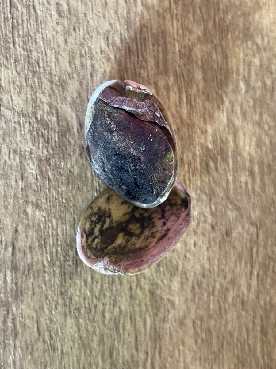 ThisComingWeek's tweet image. Question to @stoolpresidente and @WonderfulNuts is this a quality product? #pistachios