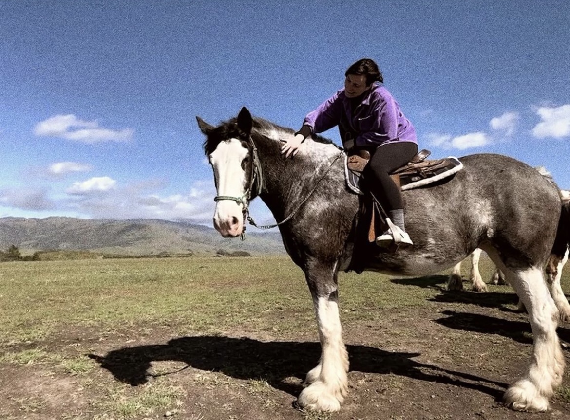 Visit Cambria tweet media