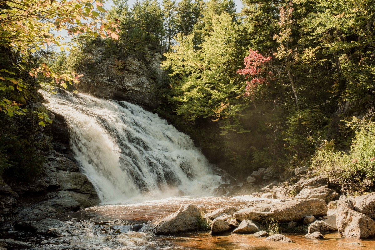 🟢 Laverty Road and Hastings Road are now open for the season.