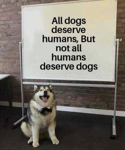 Lesson for today 👨‍🏫