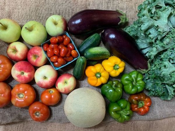 Under the Sun Farm tweet media