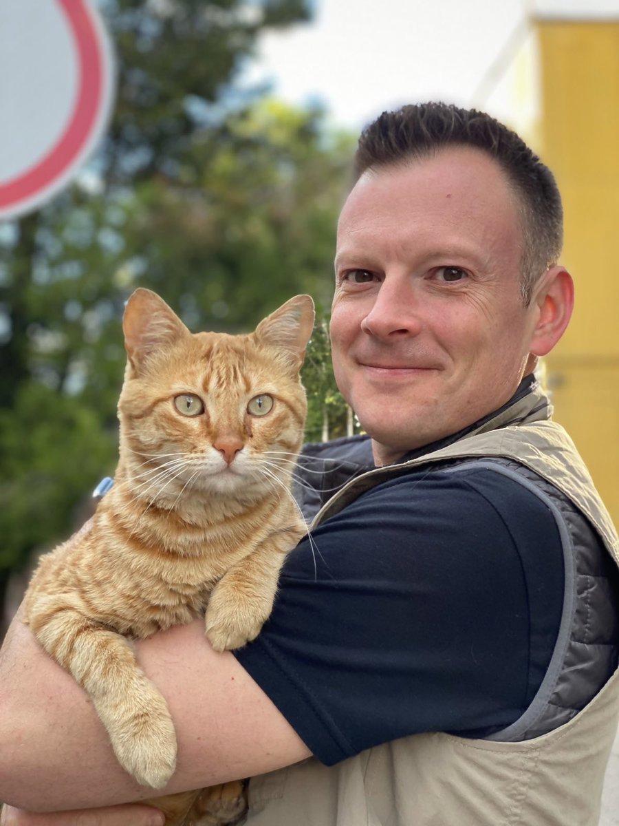 natemook's tweet image. In keeping with today’s theme, discovered our new @WCKitchen warehouse in Odesa (where we are preparing thousands of food kits for families in the region) comes with this guy. #CatsOfUkraine 🐱