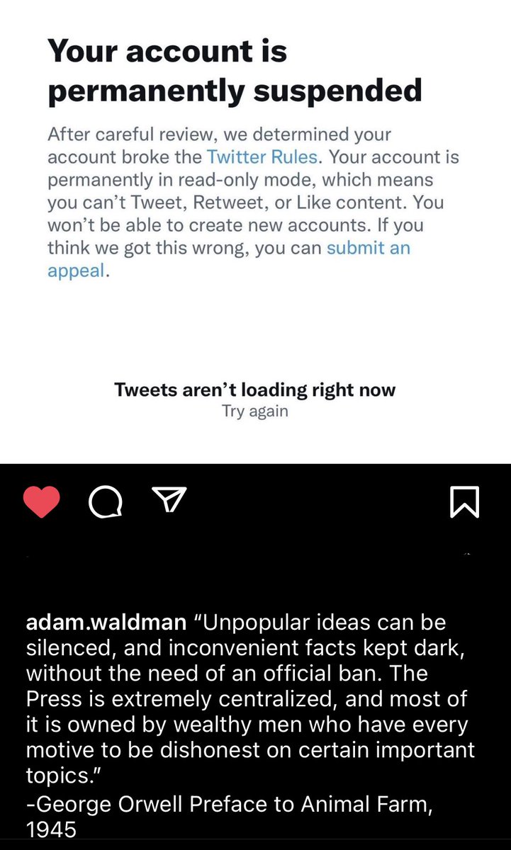 MatrixExpress2's tweet photo. The thing with Animals that aren’t let’s say #Pigs throwing their food around is the #GoodGuys have #memories like an #elephant! Though some may always #BeShort! #AdamWaldman for the #win 🖕 @Twitter and #AmberHeardIsALiar #BringBackAdamWaldman! https://t.co/jlSEwTlMHt