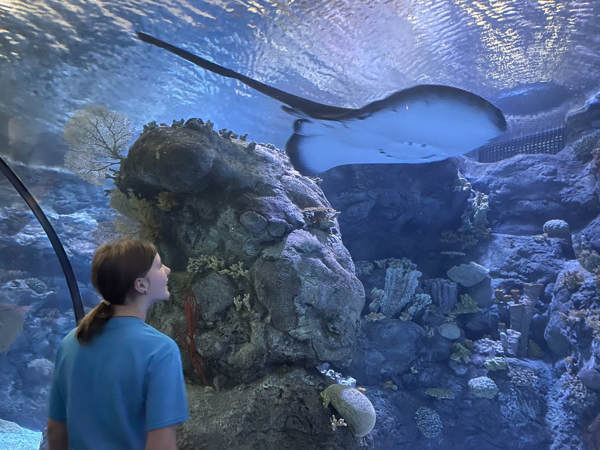 The field trip to the zoo was a success! So much fun and so many smiles!