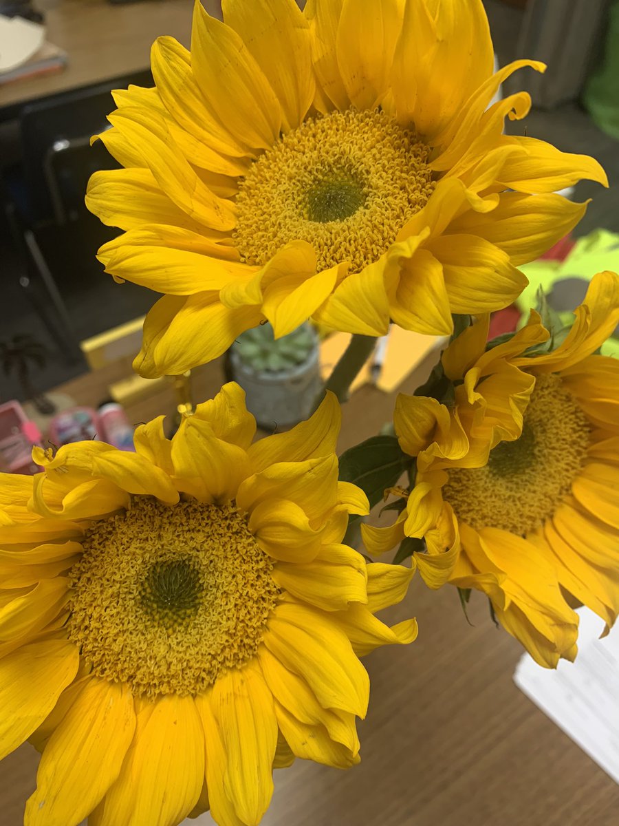 How sweet is @gina_m_mach!! 🤗 She brought me sunflowers to brighten my day! ✨ This act of kindness truly meant the world to me and I’m beyond grateful for her!! 🥰🌻💖 #owstrong