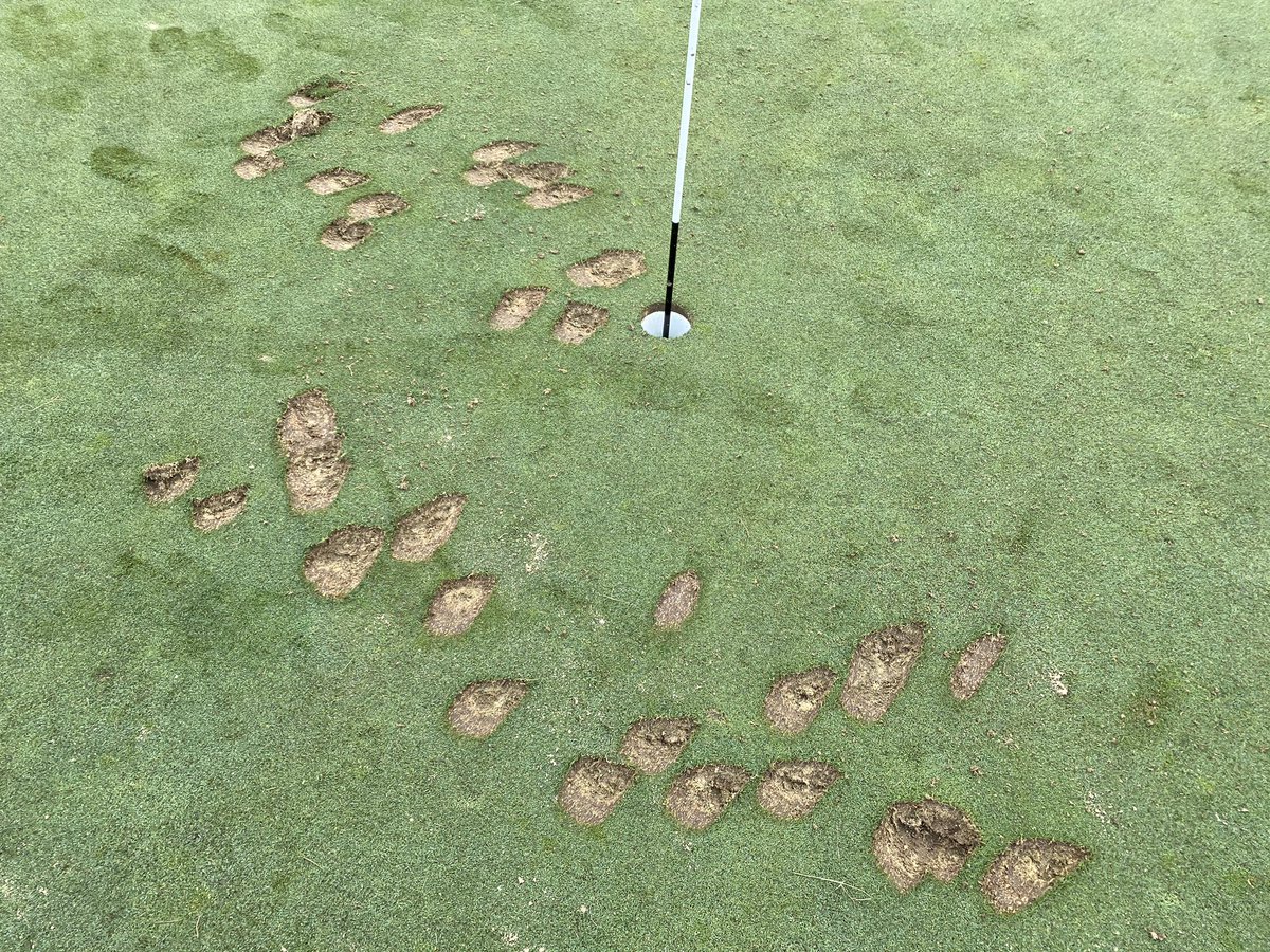 Justin Bradbury tweet media