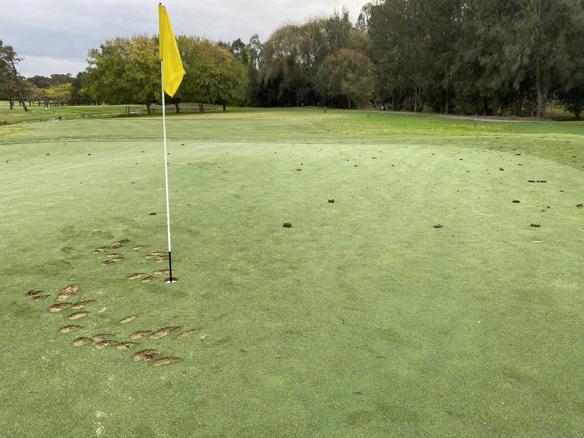 Justin Bradbury tweet media