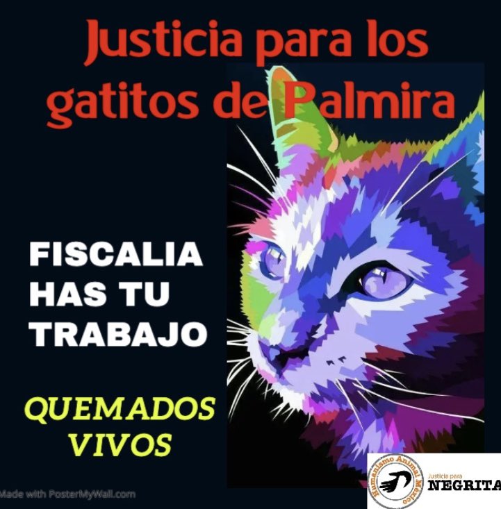 perrasubersiva1's tweet photo. La huevonada de una fiscal y una abogada de oficio que no quieren trabajar les urge cerrar la carpeta y les vale que hayan quemado vivos a los #GatitosDePalmira @Fiscalia_Mor @UrielCarmona17 Lescuento la historia abro 🧵 https://t.co/Q5qK1U9xBR