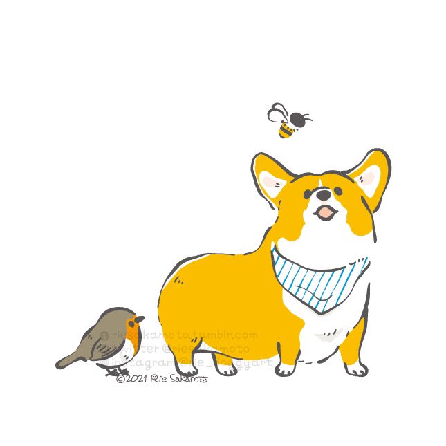 「鳥 柴犬」のTwitter画像/イラスト(新着)｜3ページ目