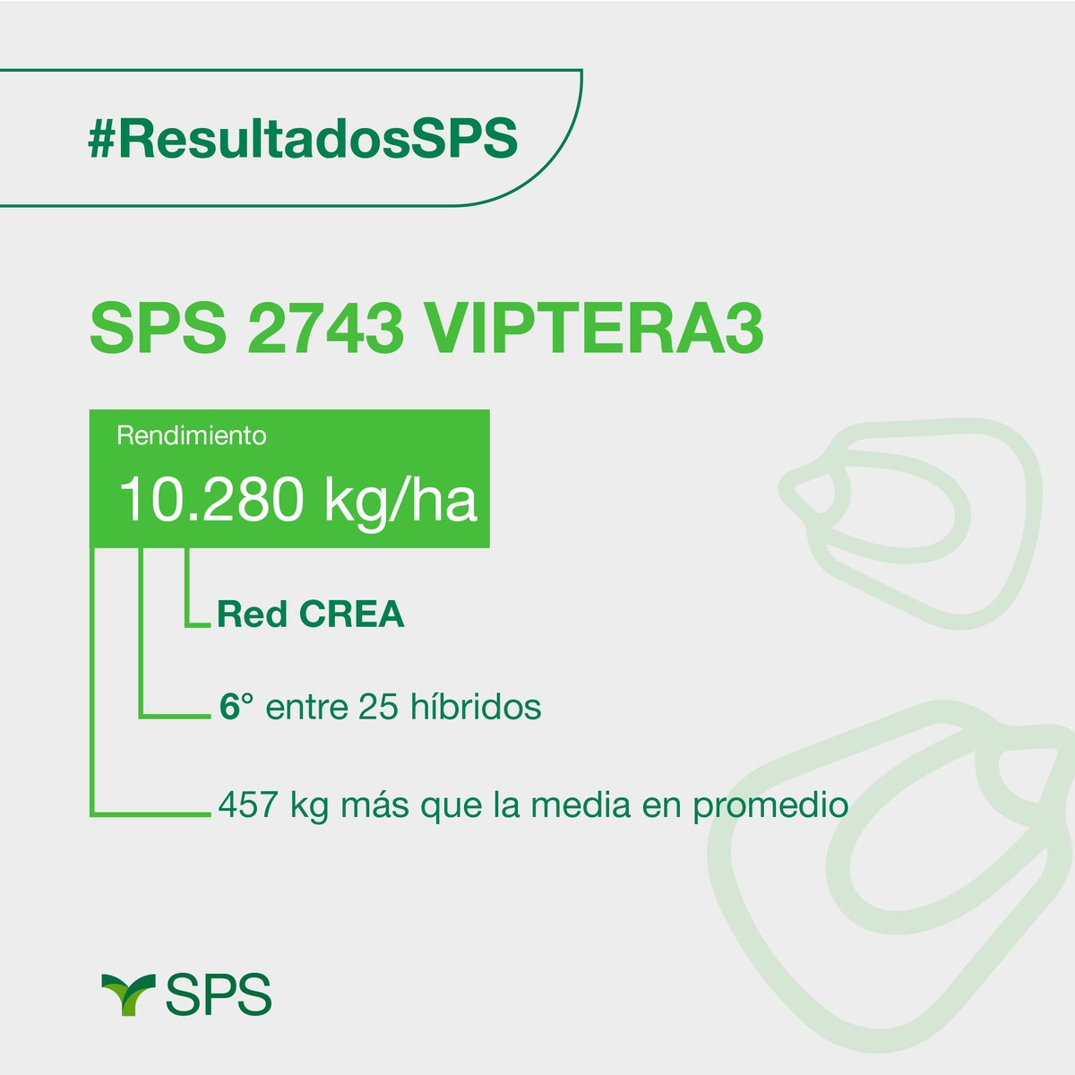 SPSsemillas's tweet photo. Nuestro SPS 2743 VIPTERA3 🌾 esta teniendo unos excelentes resultados preliminares, con un rendimiento significantemente superior a la media, en su participación del ensayo RED CREA 💪
#SPSsemillas #Cultivos #RedCrea 👨🌾 https://t.co/rTkOmFoFsZ