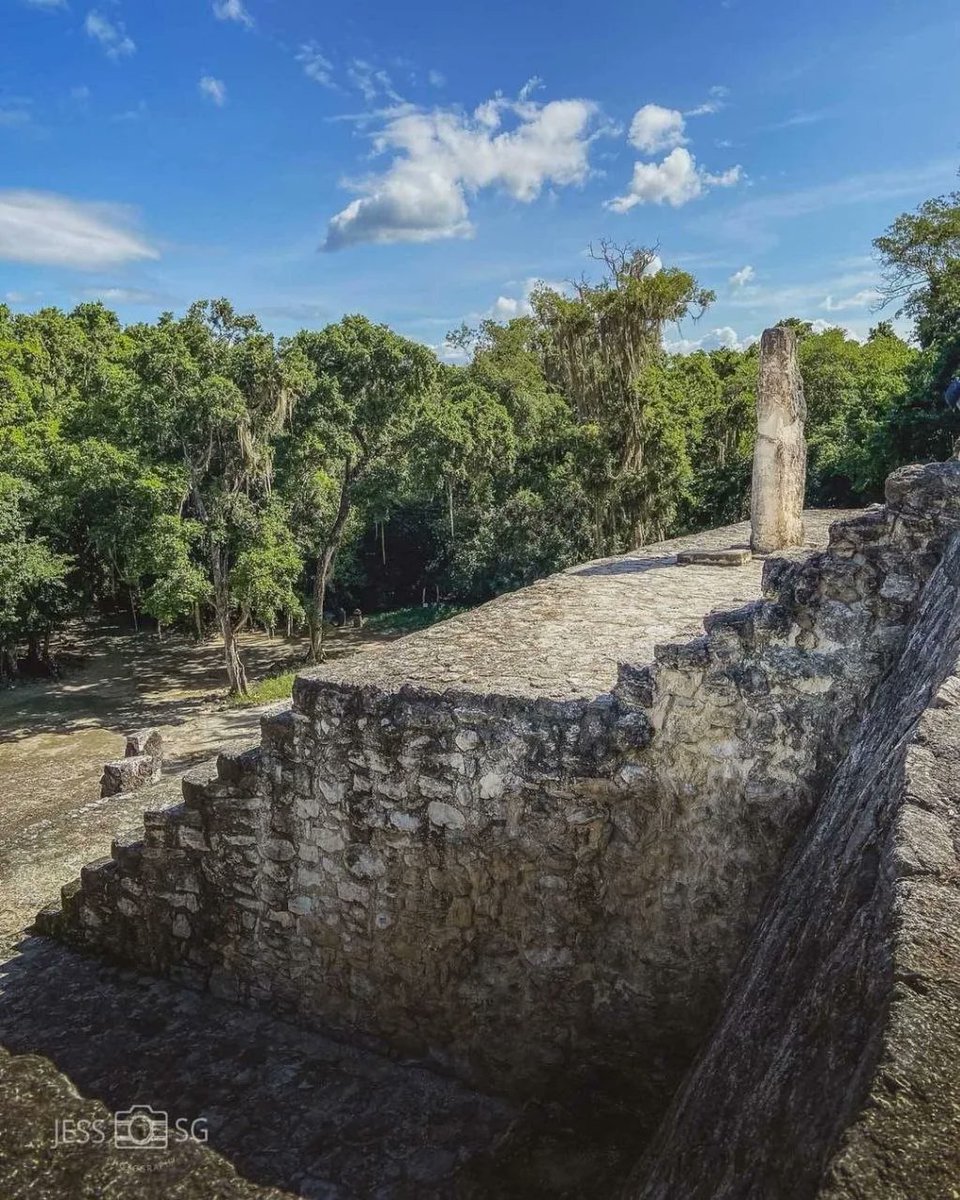 ¿Ya viviste la experiencia de estar en #Calakmul? Recuerden que Calakmul está nominado en la categoría "Mejor experiencia en zona arqueológica" de los premios "LO MEJOR DE MÉXICO 2022" y hoy es el último día para votar.

Ingresa aquí 👉🏽 lomejormexico.com/mejor-experien…

📸 IG: jess_sg