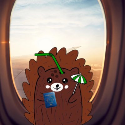 allison_dredge's tweet photo. #NewProfilePic #fluffyhedgehogsNFT #fluffyabroad @HedgehogsNFT https://t.co/cHANd4YEvK