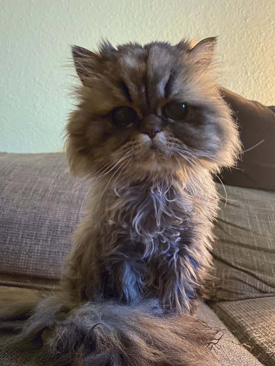 darf ich das wochenende schon mal sehen