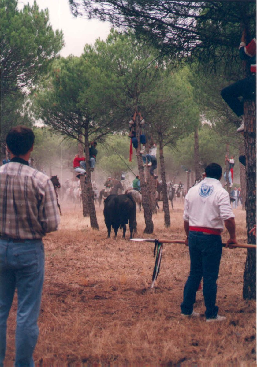 Hoy estamos callados. Hoy estamos de luto.
Hace seis años la <a href="/jcyl/">Junta de Castilla y León</a> prohibió el Inmemorial Torneo del Toro de la Vega. De manera torticera.
El decreto lo presento un ególatra y una borracha.