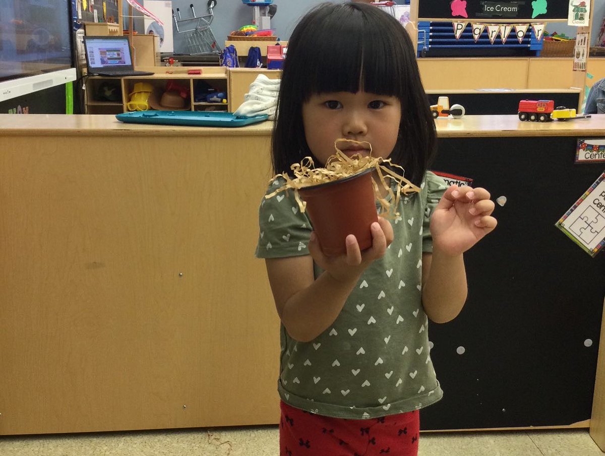 Ps6931R's tweet photo. 3k Grows a Garden. Not only did Gardeners get their hands dirty but they also learned about responsibility, teamwork, and respect for nature, others, and themselves.  Thank you children, for making our Garden &amp; Hearts BLOOM! #ps69 https://t.co/ILg8HN7m5A