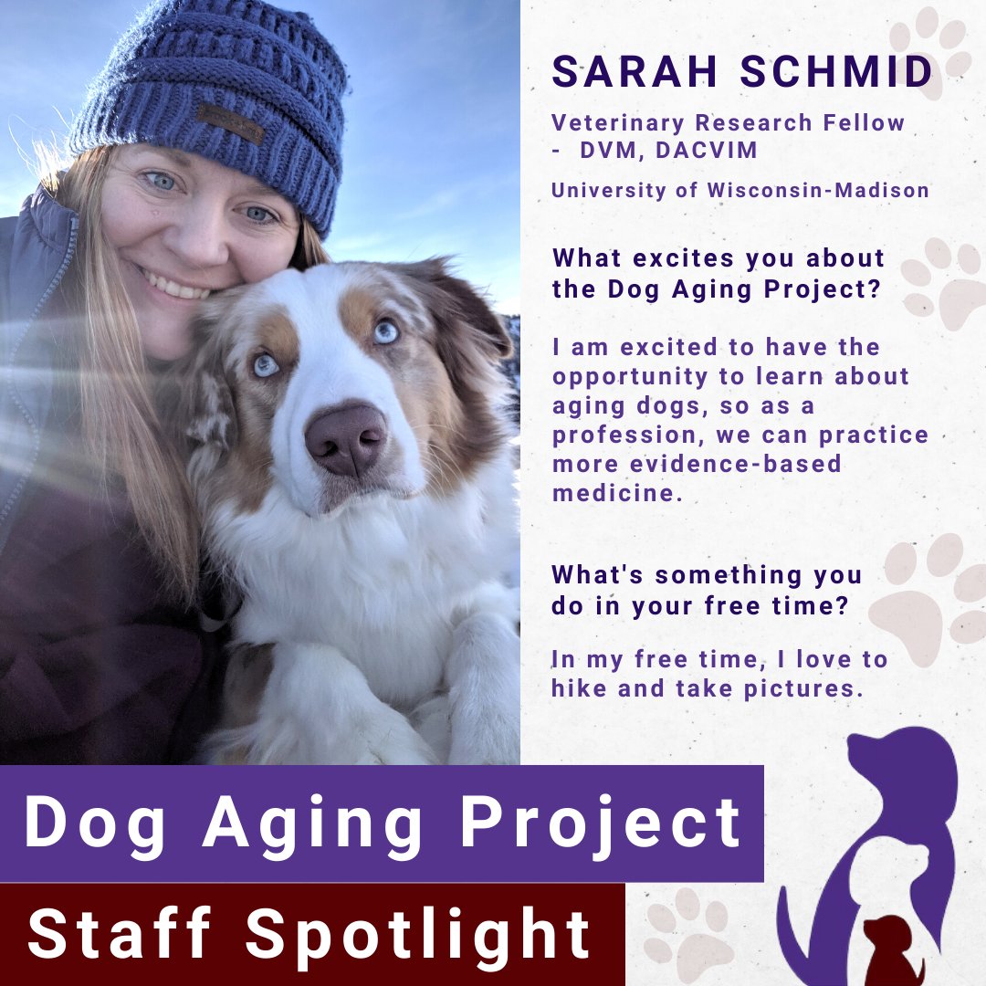 Do Dogs Understand Aging