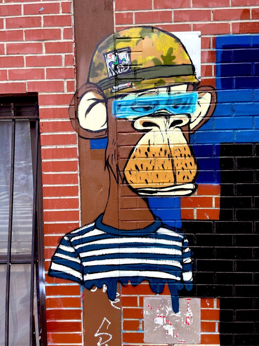 Open Swim tweet media