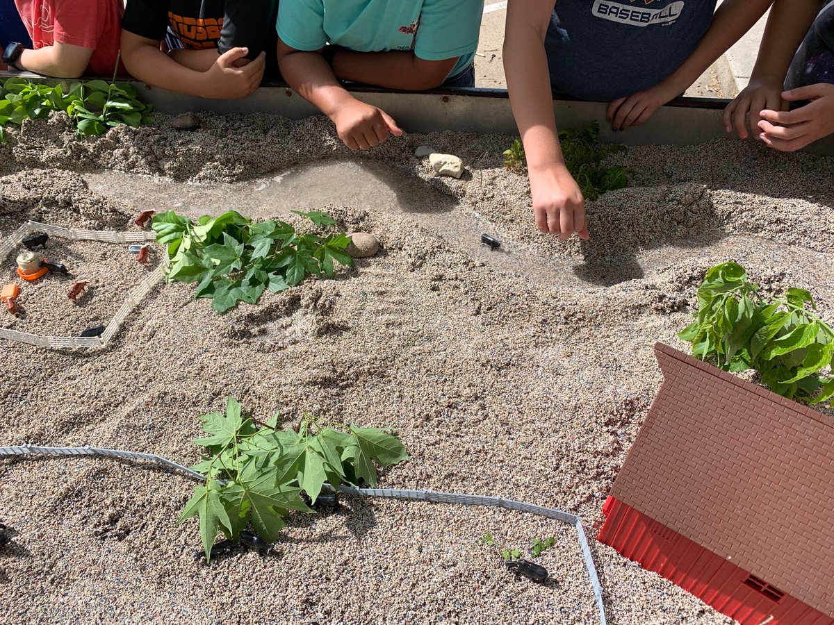 KStateKCARE's tweet photo. Great morning in @CityLindsborgKS! 4th graders from Smoky Valley Public Schools joined #KCARE & representatives from McPherson & Saline Conservation Districts for hands-on lessons on #waterquality & #streambanks.
*No livestock were injured in this demonstration.* https://t.co/a50GENgZ76