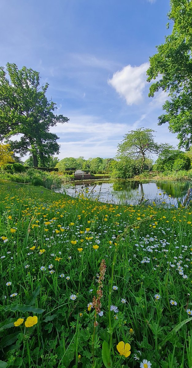 Hole Park Gardens tweet media