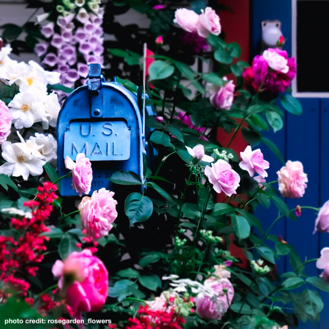 #SendMoreMail #HappyMail #MailLove #PostalBox #Spring #SendMoreMail #USPS #UnitedStatesPostalService #USPSEmployee