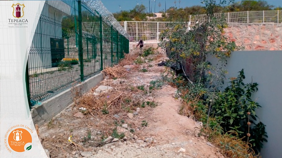 SMyPCTepeaca's tweet photo. #4toEjedeGobierno l Bienestar con Inclusión Social

A través de la Dirección de Servicios Municipales se realizó jornada de poda y limpia en el área del Banco del Bienestar con el propósito de brindarte a ti y a tu familia espacios públicos más limpios y presentables. https://t.co/1jUB6TnqUs