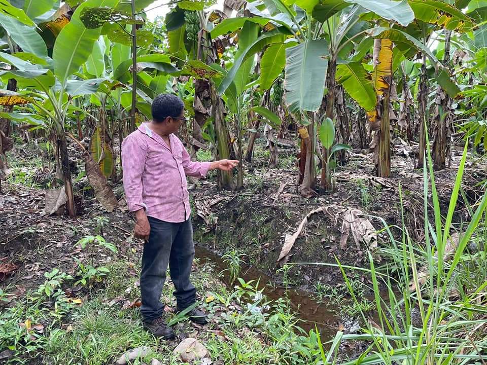 🔰 ¡NUESTRA PROVINCIA MÁS VERDE QUE NUNCA!

Una parte importante de esta gestión está dirigida a proteger el medio ambiente. Solo en el 2021 se sembraron un total de 40.500 plantas nativas, que ayudan a preservar la riqueza natural de esta región amazónica.
#JuntosVamosALograrlo