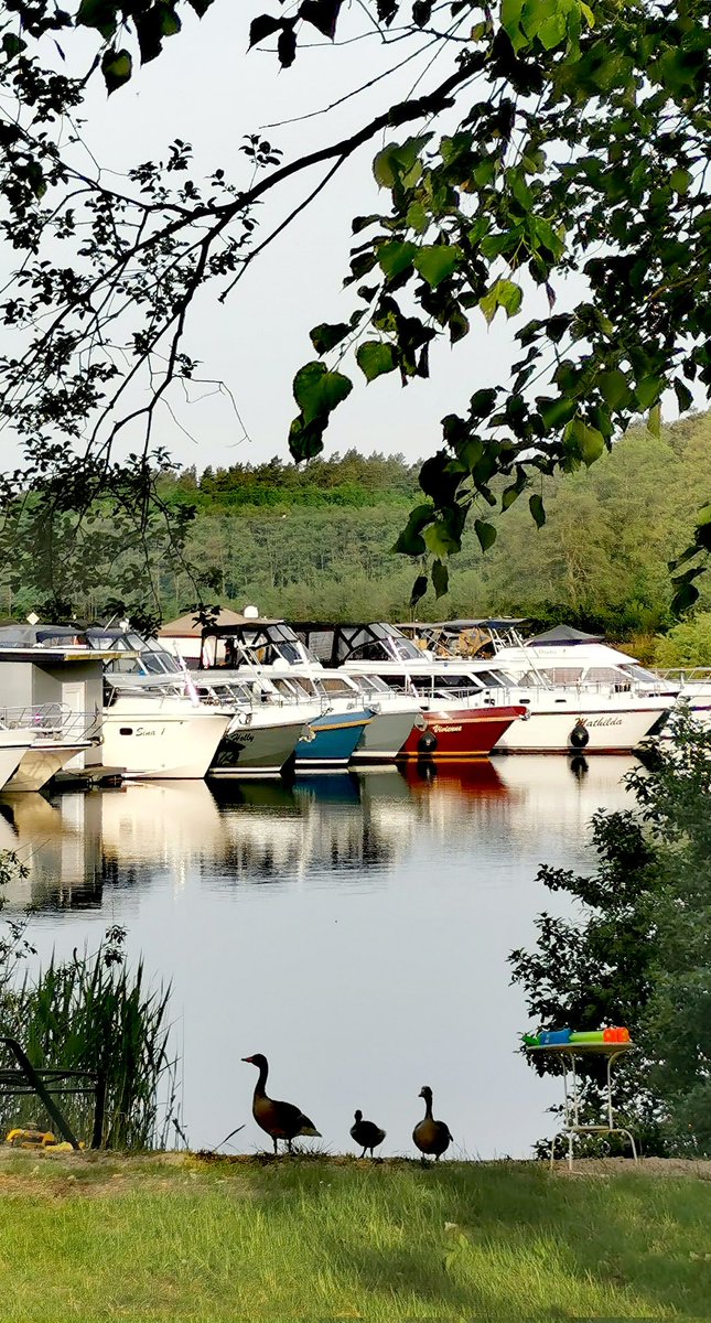 Heute ist wieder Anreise Tag und mehr als 10 Schiffe verlassen den Hafen. #saison #urlaub2022 #freiheitWasser #hausboot #urlaub #mvtutgut #seenplatte