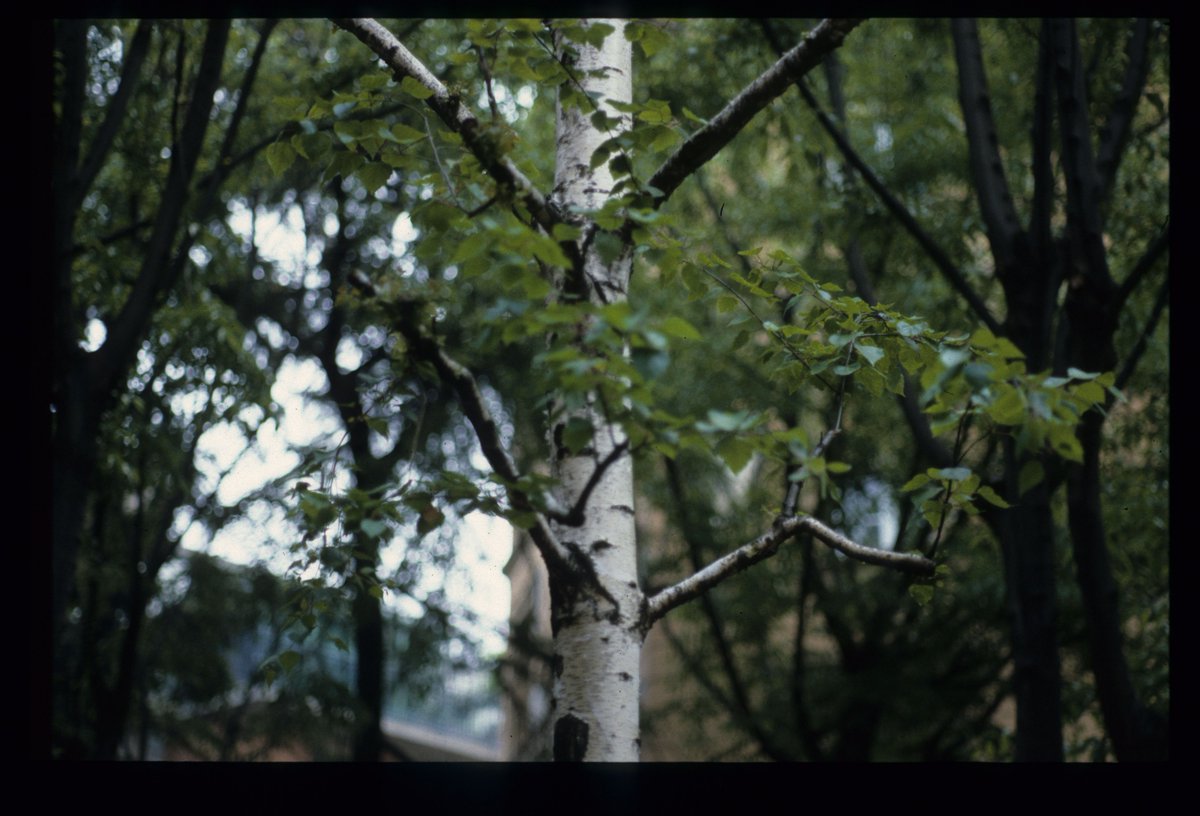 giovannitundo's tweet photo. #Diapositive #Ektachrome anni80 #Photography https://t.co/5naEszRgBr