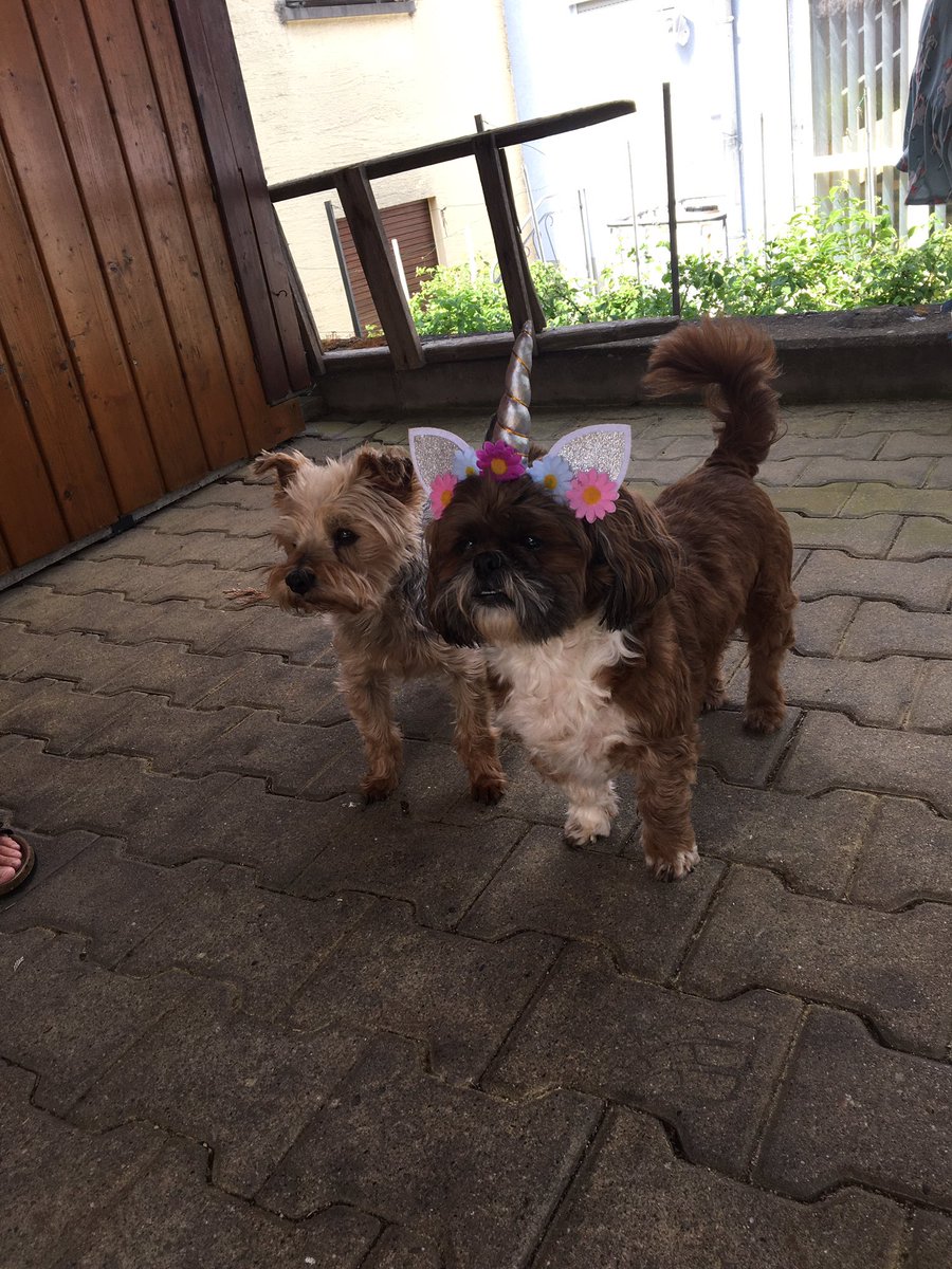 Jannik⛅️ tweet media