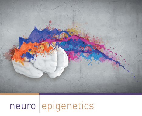 NeuroEpigenetics eBook: A Guide to Getting Started with #Epigenetics in #Neuroscience.  Check it out!
activemotif.com/ebooks-neuroep…