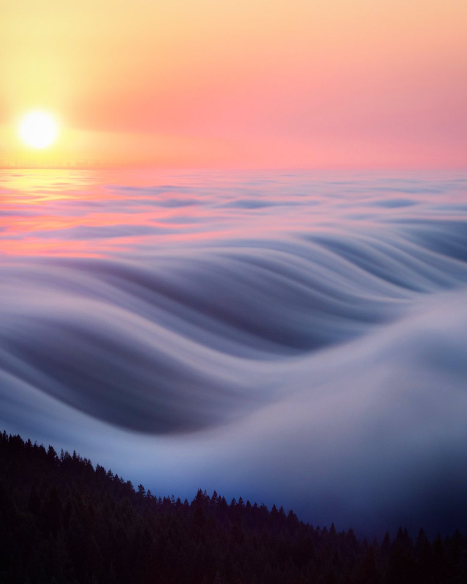 JAMESPIPERPHOTO's tweet image. my favorite wave 🏄🏻