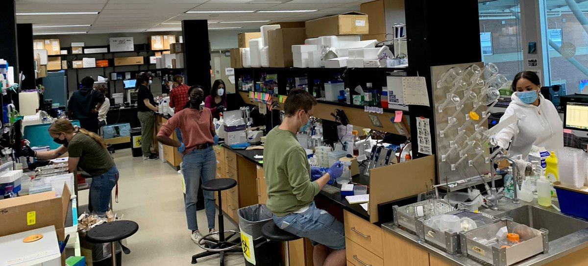Love nothing more than seeing the lab fully abuzz, just ahead of our first in-person conference in 2+ years (or ever for many!) <a href="/evofunpath/">@EvoFunPath</a> <a href="/OfficialSMBE/">Society for Molecular Biology and Evolution</a> 

<a href="/ViolaHalder/">Viola</a> <a href="/LaetitiaMaroc/">Dr. Laetitia Maroc</a> <a href="/MichelleTabbi/">Michelle Agyare-Tabbi</a> <a href="/laurwensing/">laurwensing</a> <a href="/Jehoshu_wow/">Jehoshua Sharma</a> <a href="/NickGervais12/">Nicholas Gervais</a>