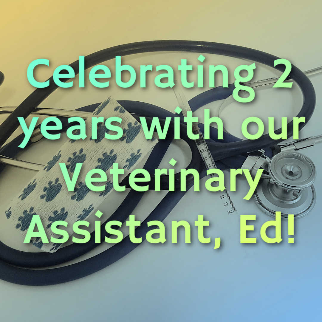 Union Vet Clinic tweet media