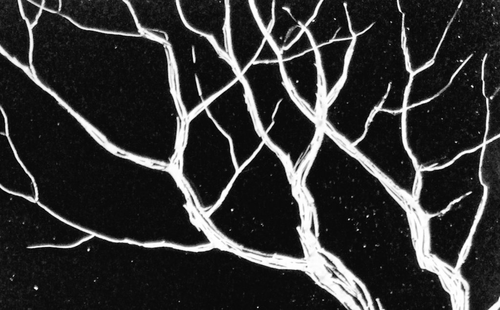 Details of a piece from today