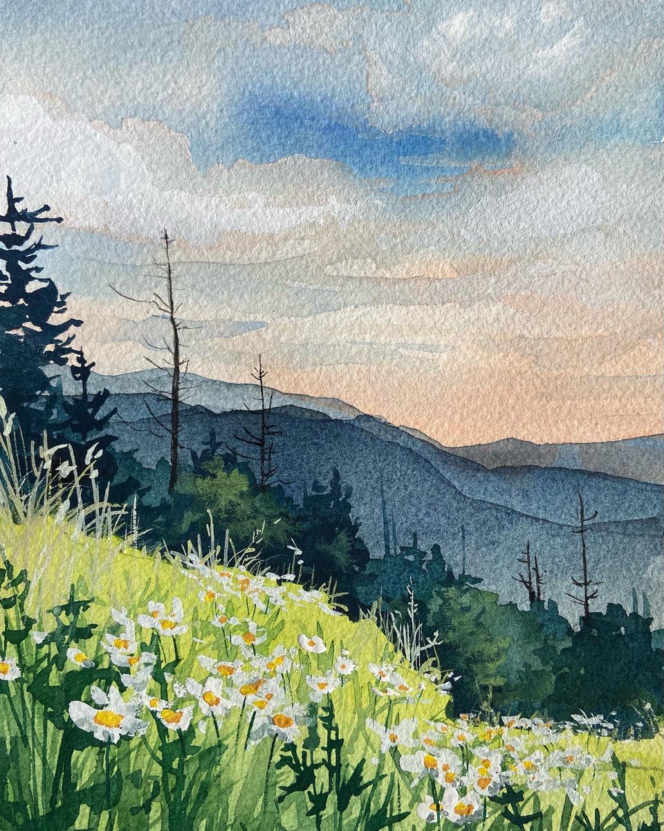 tagsalegirl's tweet photo. Daisies at Dawn
Great Smoky Mountains
7x5” gouache
$175 matted! https://t.co/feTACHIWTe