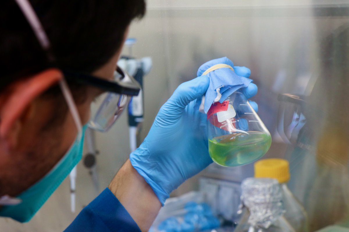 Scripps Institution of Oceanography (@scripps_ocean) on Twitter photo Scientists at Scripps, <a href="/usponline/">USP - Universidade de São Paulo</a> & <a href="/ucsantacruz/">UC Santa Cruz</a> have collaborated to discover & validate the enzymes responsible for production of guanitoxin—one of the most toxic & fast-acting neurotoxins associated with freshwater harmful algal blooms in lakes & ponds. scripps.ucsd.edu/news/decipheri… Scientists at Scripps, <a href="/usponline/">USP - Universidade de São Paulo</a> & <a href="/ucsantacruz/">UC Santa Cruz</a> have collaborated to discover & validate the enzymes responsible for production of guanitoxin—one of the most toxic & fast-acting neurotoxins associated with freshwater harmful algal blooms in lakes & ponds. scripps.ucsd.edu/news/decipheri…
