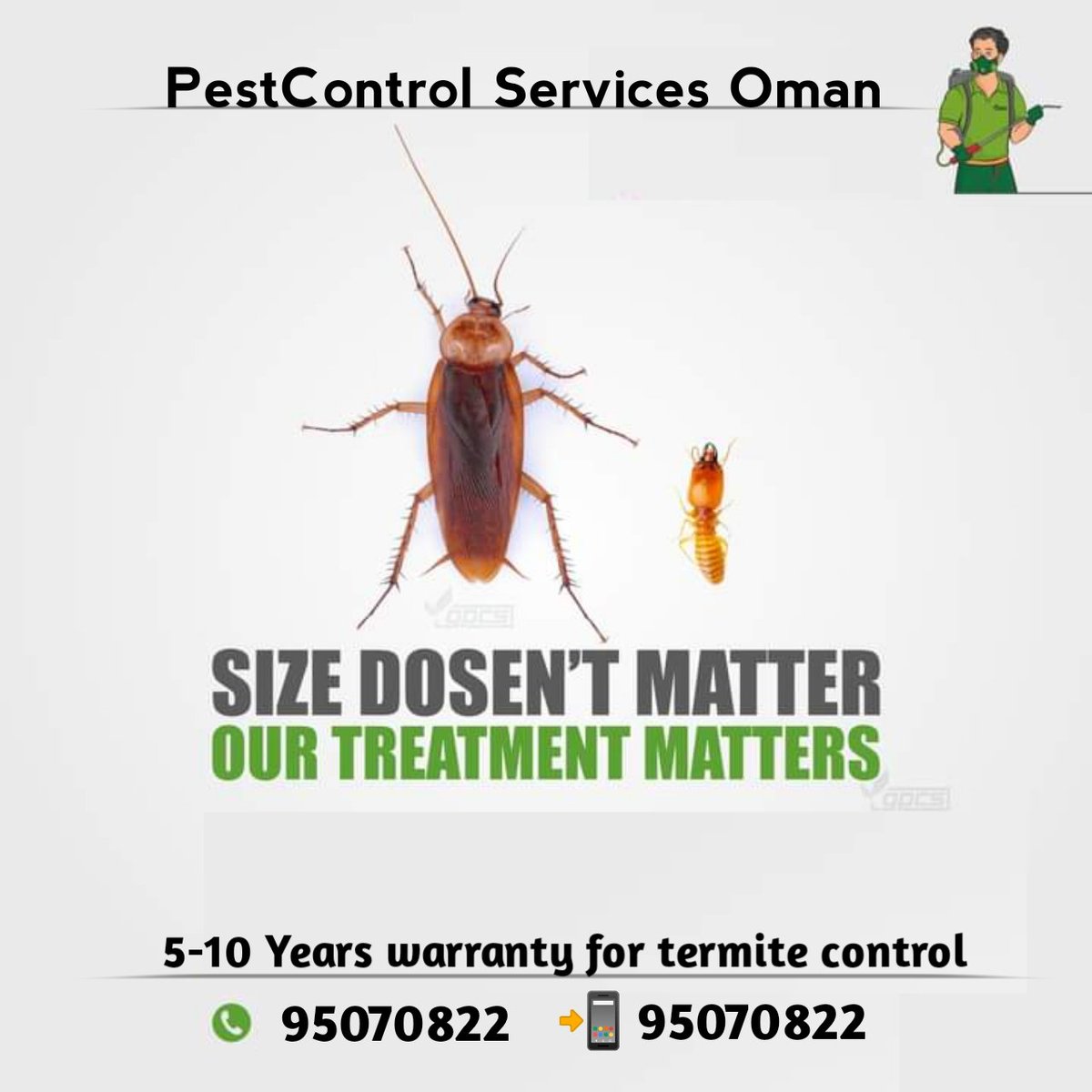 MuscatPest's tweet photo. Pest control oman giving 5-10 years warranty for termite control
Contact us today for appointment
#pestcontrol #termitecontroloman #termiteproblem #termitewarranty #termitecontrolinmuscat #omanpestcontrolnearme #omanpestcontrol #muscatpestcontrol #muscatpest #cockroachescontrol https://t.co/ZjuRHCtgcN