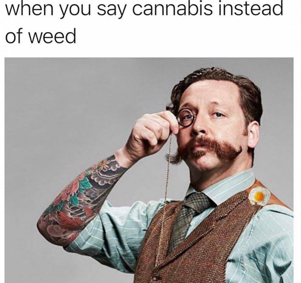 Metanugsclub's tweet photo. Potato potahto 🥔🥔🥔 #cannabiscommunity #nft https://t.co/aqBSczrqzn