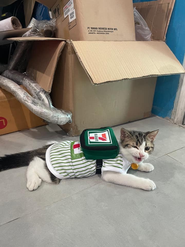 CatWorkers's tweet photo. https://t.co/TwOMEbIMPF